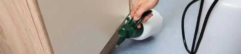 Bed bug exterminator treating baseboards and cracks with targeted spray in Chandler, AZ