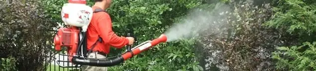 Mosquito control technician fogging shrubs and landscaping for mosquito treatment in Chandler, AZ