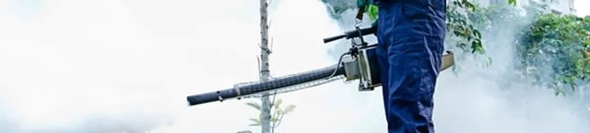 Pest control technician fogging an outdoor area for insect control in Chandler, AZ