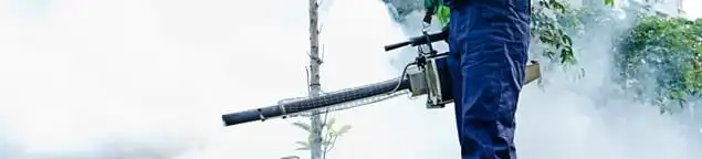 Pest control technician fogging an outdoor area for insect control in Chandler, AZ