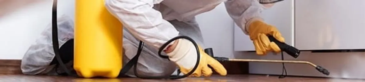 Roach exterminator treating cracks and crevices along kitchen baseboards in Chandler, AZ