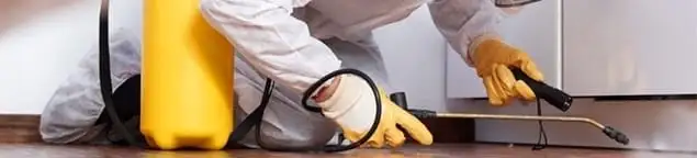 Roach exterminator treating cracks and crevices along kitchen baseboards in Chandler, AZ