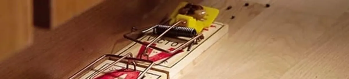 Rodent trap set indoors for rodent control and prevention in Chandler, AZ