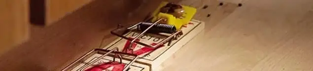 Rodent trap set indoors for rodent control and prevention in Chandler, AZ